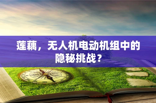 莲藕，无人机电动机组中的隐秘挑战？