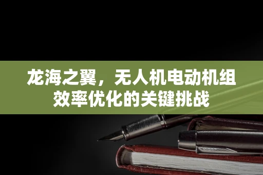 龙海之翼，无人机电动机组效率优化的关键挑战