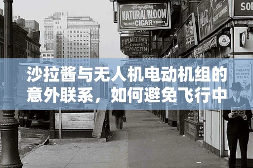 沙拉酱与无人机电动机组的意外联系，如何避免飞行中的‘调味剂’灾难？