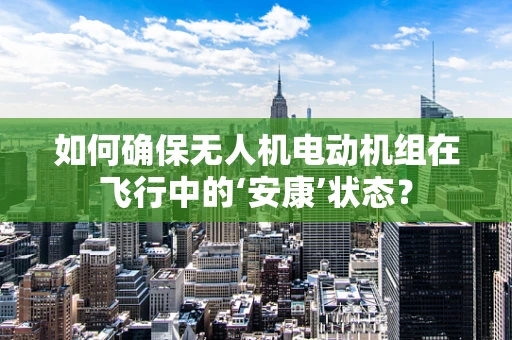 如何确保无人机电动机组在飞行中的‘安康’状态？