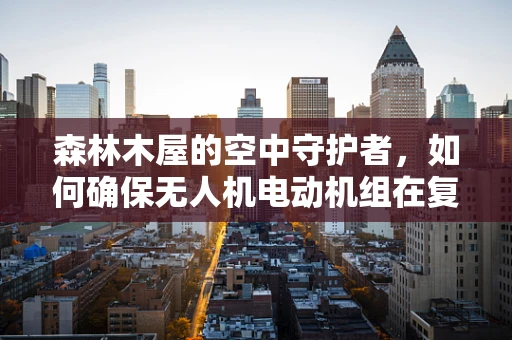 森林木屋的空中守护者，如何确保无人机电动机组在复杂环境中的稳定运行？