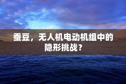 蚕豆，无人机电动机组中的隐形挑战？