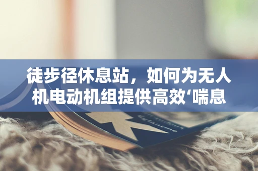 徒步径休息站，如何为无人机电动机组提供高效‘喘息’空间？