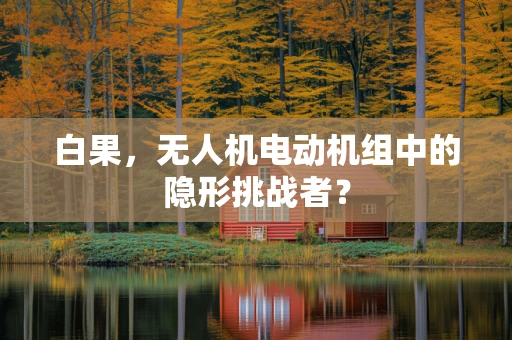 白果，无人机电动机组中的隐形挑战者？