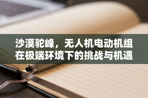 沙漠驼峰，无人机电动机组在极端环境下的挑战与机遇？