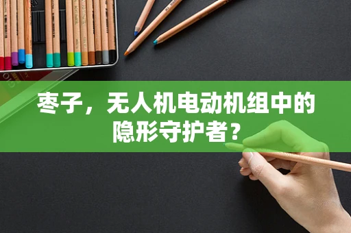 枣子，无人机电动机组中的隐形守护者？