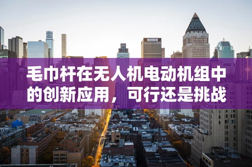 毛巾杆在无人机电动机组中的创新应用，可行还是挑战？