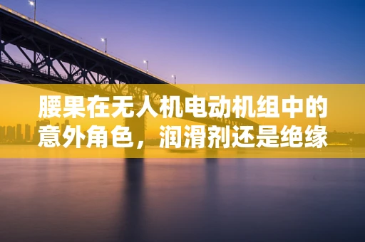 腰果在无人机电动机组中的意外角色，润滑剂还是绝缘体？