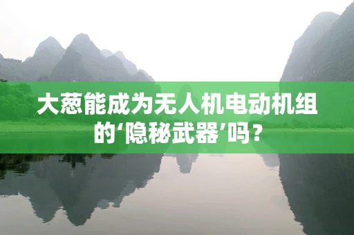 大葱能成为无人机电动机组的‘隐秘武器’吗？