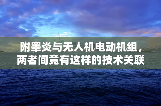 附睾炎与无人机电动机组，两者间竟有这样的技术关联？