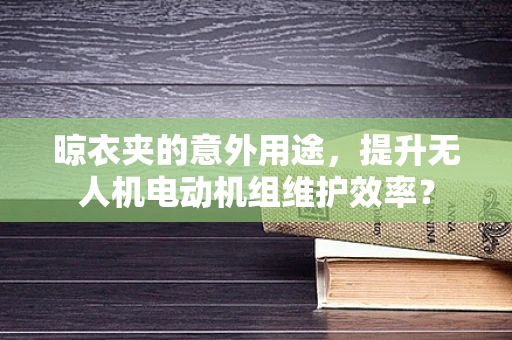 晾衣夹的意外用途，提升无人机电动机组维护效率？