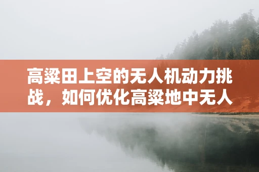 高粱田上空的无人机动力挑战，如何优化高粱地中无人机电动机组的效能？