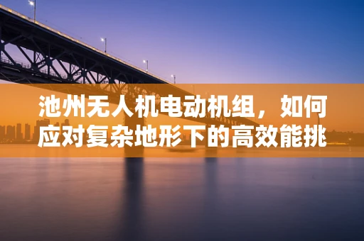 池州无人机电动机组，如何应对复杂地形下的高效能挑战？