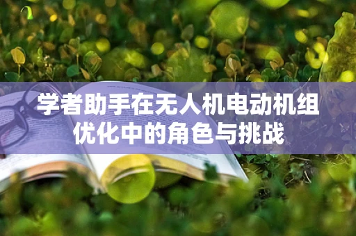 学者助手在无人机电动机组优化中的角色与挑战