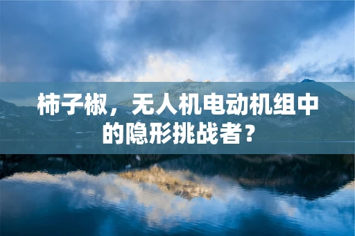 柿子椒，无人机电动机组中的隐形挑战者？