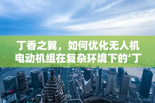 丁香之翼，如何优化无人机电动机组在复杂环境下的‘丁香’穿梭能力？