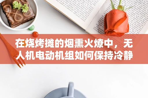 在烧烤摊的烟熏火燎中，无人机电动机组如何保持冷静？