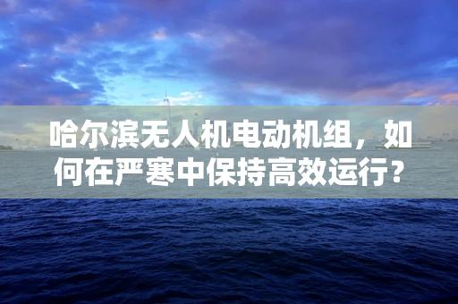 哈尔滨无人机电动机组，如何在严寒中保持高效运行？