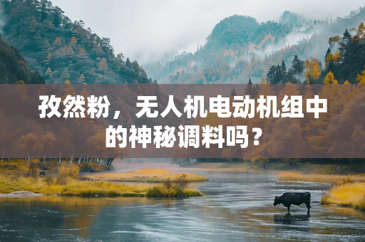 孜然粉，无人机电动机组中的神秘调料吗？