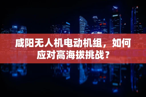 咸阳无人机电动机组，如何应对高海拔挑战？