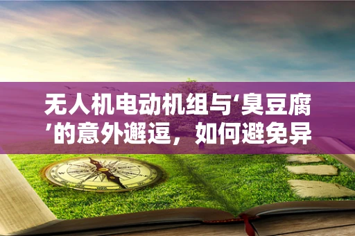 无人机电动机组与‘臭豆腐’的意外邂逗，如何避免异味干扰？