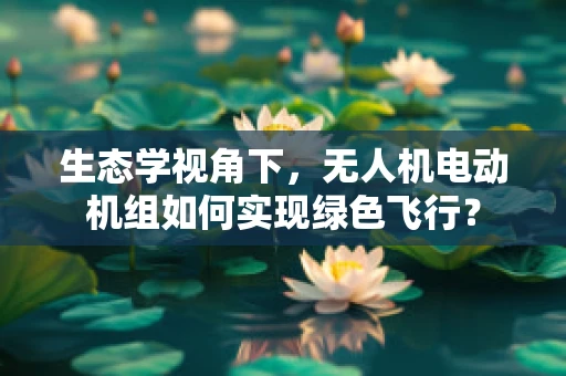 生态学视角下，无人机电动机组如何实现绿色飞行？