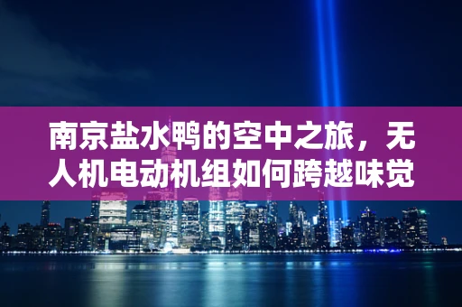 南京盐水鸭的空中之旅，无人机电动机组如何跨越味觉与科技的边界？