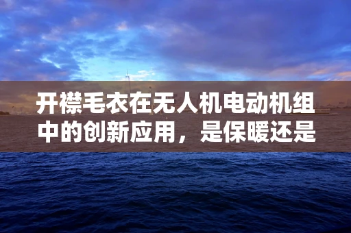 开襟毛衣在无人机电动机组中的创新应用，是保暖还是性能提升？