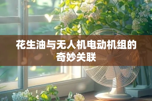 花生油与无人机电动机组的奇妙关联